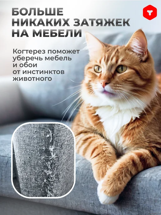PetCube Когтерез-ножницы для кошек и собак мини пород, синий, фото 4