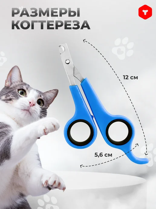 PetCube Когтерез-ножницы для кошек и собак мини пород, синий, фото 5