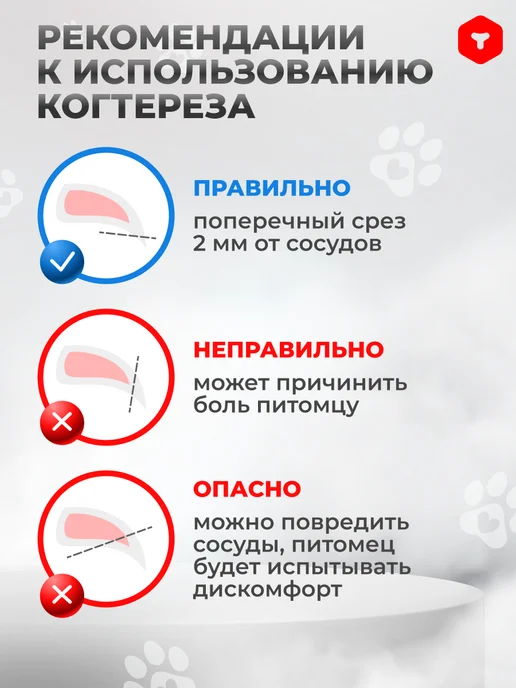 PetCube Когтерез-ножницы для кошек и собак мини пород, синий, фото 6