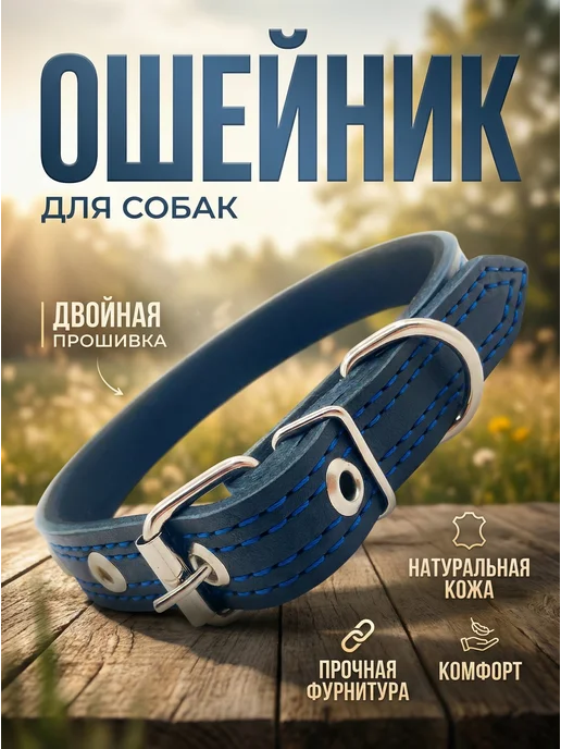 Кадет Ошейник кожаный для собак средних пород, черный