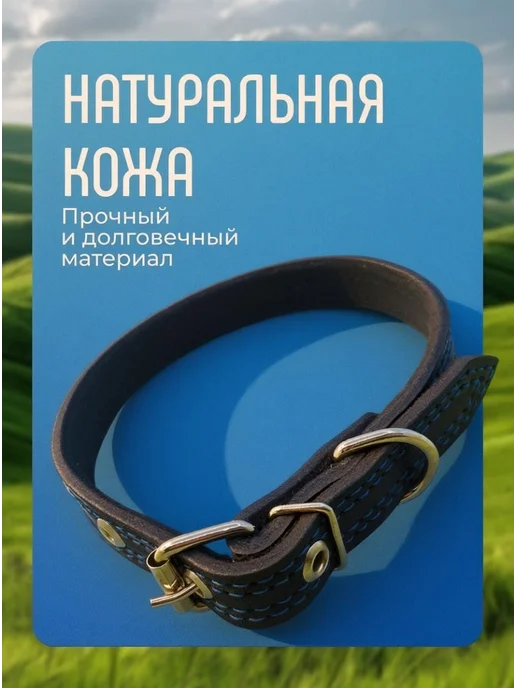 Кадет Ошейник кожаный для собак средних пород, черный, фото 3