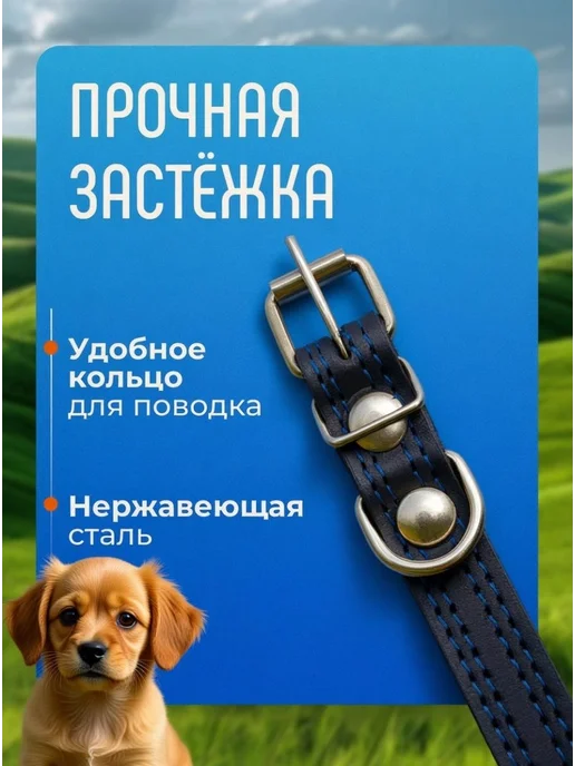 Кадет Ошейник кожаный для собак средних пород, черный, фото 6