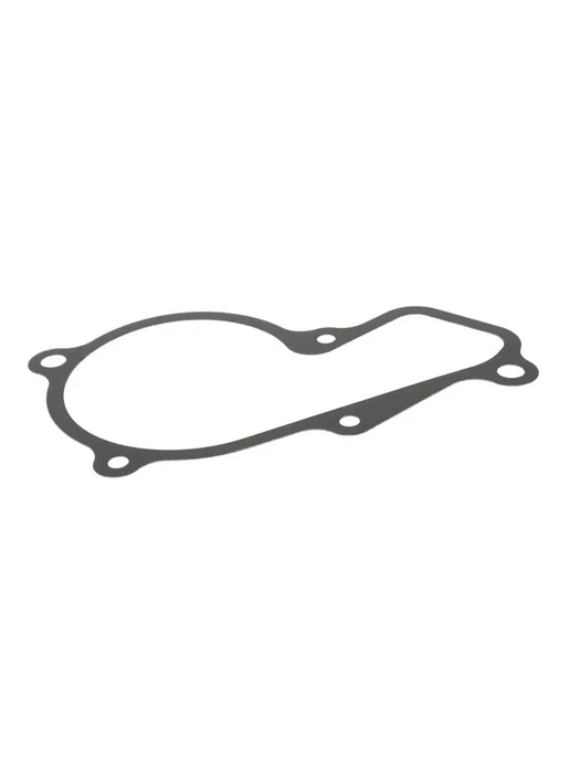 DYG Прокладка HYUNDAI Elantra (12-) KIA Carens (12-) насоса вод, вариант