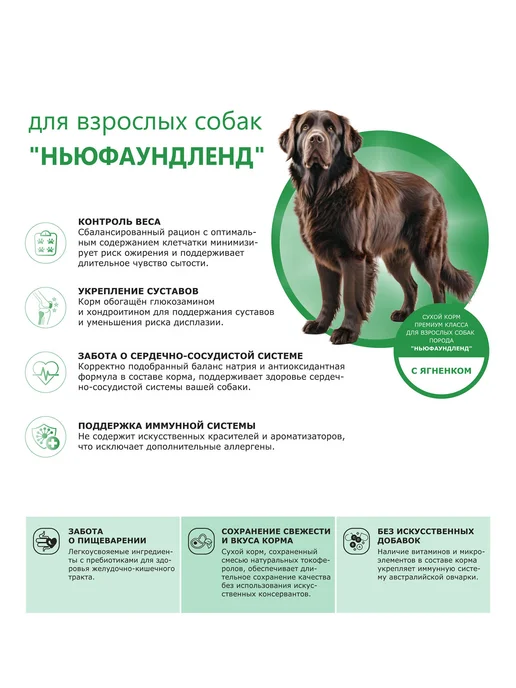Сухой корм QUATTRO Ньюфаундленд для собак, ягненок, 12 кг, фото 2