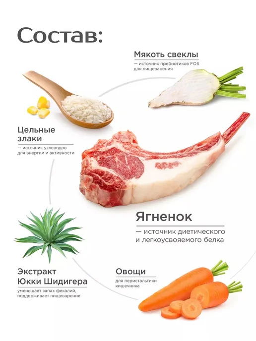 Сухой корм QUATTRO Ньюфаундленд для собак, ягненок, 12 кг, фото 4