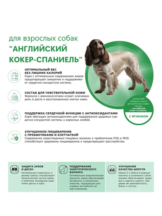 Сухой корм QUATTRO Английский Кокер-Спаниель для собак, ягненок, 2,5 кг, фото 2
