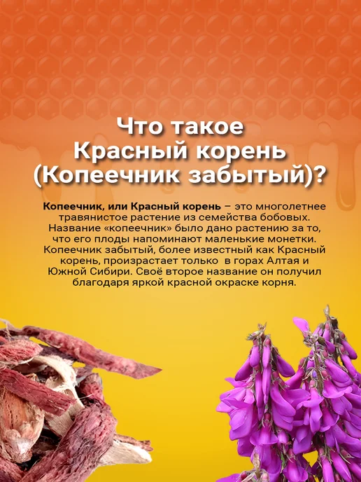 Мелмур Вытяжка копеечника забытого Красный корень 350 мл, 350 мл, фото 4