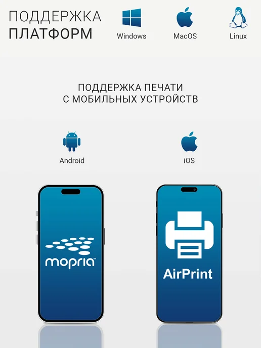 МФУ лазерное для малого офиса Pantum M6506NW, ч/б, A4, 22 стр/мин, Wi-Fi, RJ-45, USB, серый, серый, фото 3