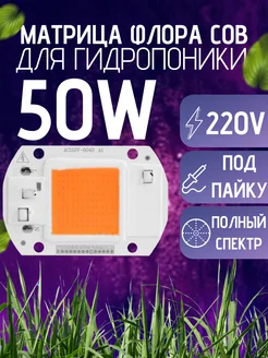 Интернет-магазин Wildberries: широкий ассортимент товаров - скидки каждый день!