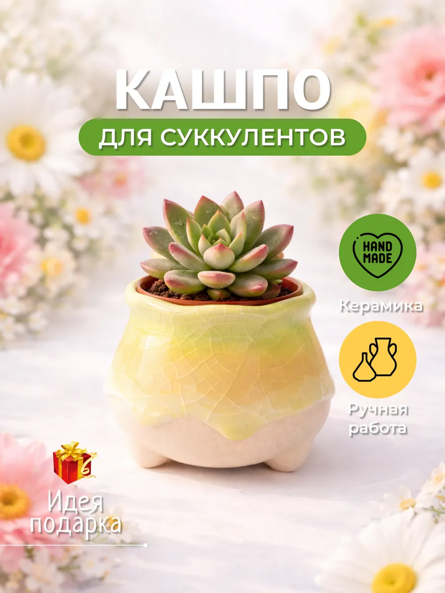 Кашпо комнатное из керамики , для суккулентов и кактусов