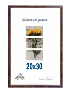 Рамка 20х30 с пластиковым стеклом Рамки Рязань 315389984 купить за 382 ₽ в интернет-магазине Wildberries
