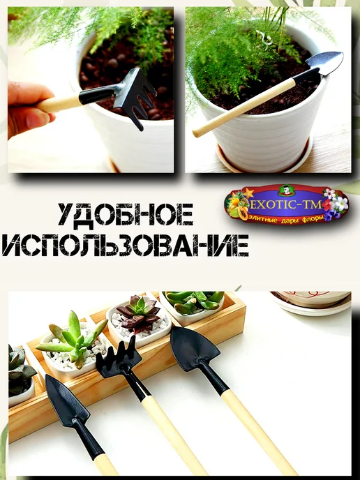 EXOTIC-TM Садовый набор 6 предм. (лопатки для цветов), черный, фото 4