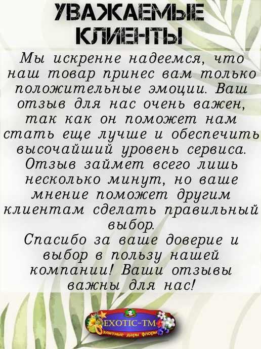 EXOTIC-TM Садовый набор 6 предм. (лопатки для цветов), черный, фото 8