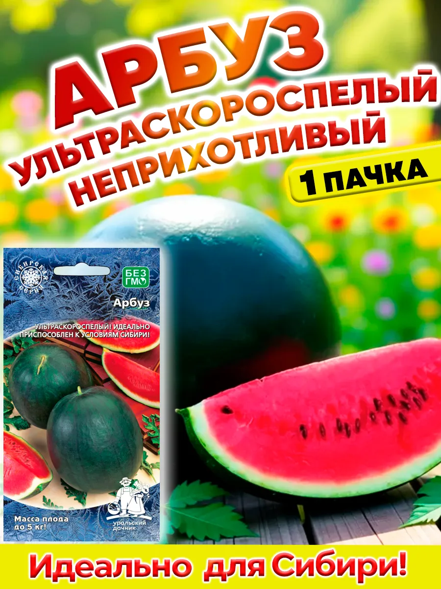 Семена арбуза ультраскороспелый для сибири