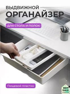 Выдвижной органайзер для хранения мелочей ящик пластиковый 316480850 купить за 1 185 ₽ в интернет-магазине Wildberries