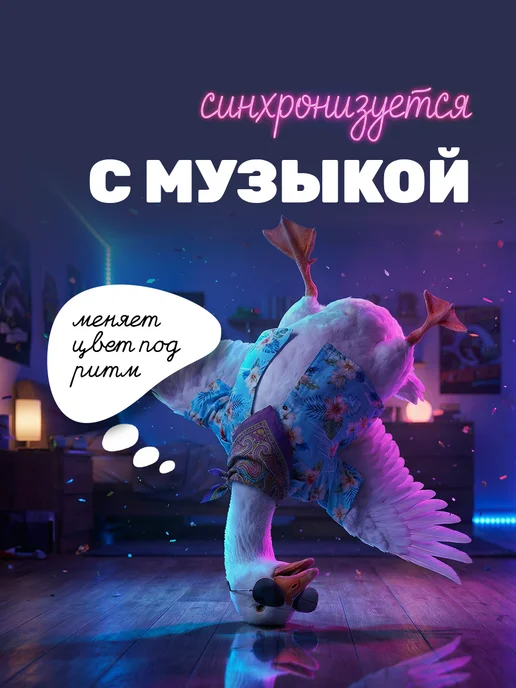 GLAMIXIE Светодиодная лента 20 м с пультом RGB LED многоцветная, вариант, фото 7