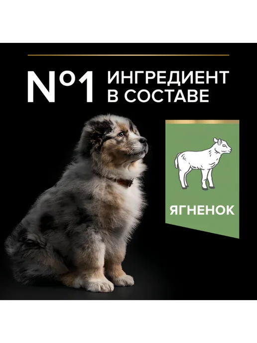 Сухой корм PRO PLAN Пищеварением для собак, средние, чувствительное пищеварение, щенки, ягненок, 1,5 кг, фото 5