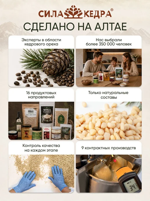 Сила кедра Цукаты сосновые шишки в темном шоколаде, вариант, фото 7