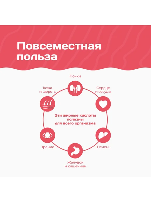 FeelGood Масло лососевое Омега 3, 250 мл, 250 мл, фото 3