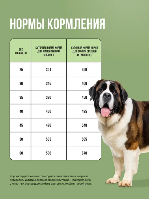 Сухой корм BOWL WOW для собак, крупные, индейка, ягненок, 0,8 кг, фото 7
