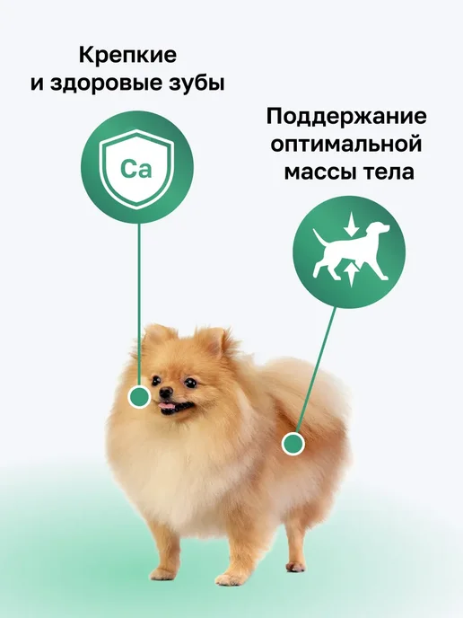 Сухой корм Organix для собак, мелкие, курица, 3 кг, фото 2