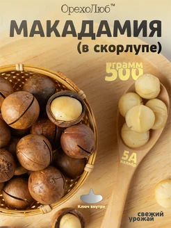Макадамия 5А в скорлупе 500 г ОрехоЛюб 317198758 купить за 610 ₽ в интернет‑магазине Wildberries