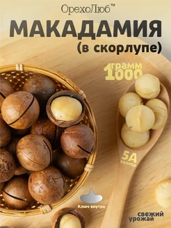 Макадамия 5А в скорлупе 1 кг ОрехоЛюб 317198759 купить за 1 035 ₽ в интернет-магазине Wildberries