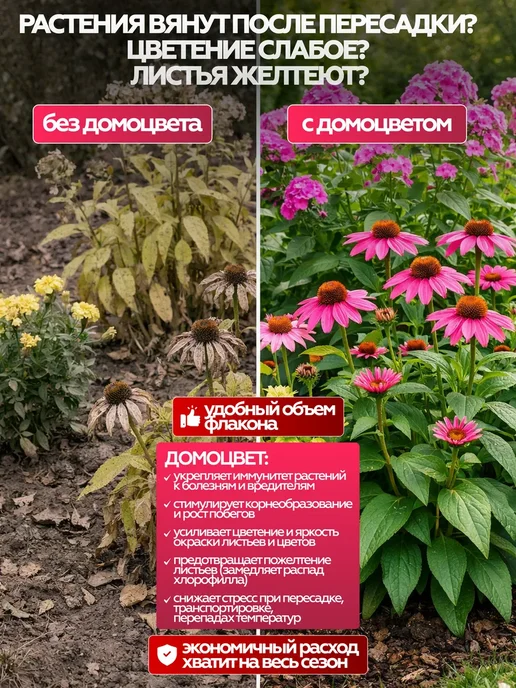 Нэст М Домоцвет для роста и цветения, 3 шт × 50 мл, 3 шт, 50 мл, фото 2
