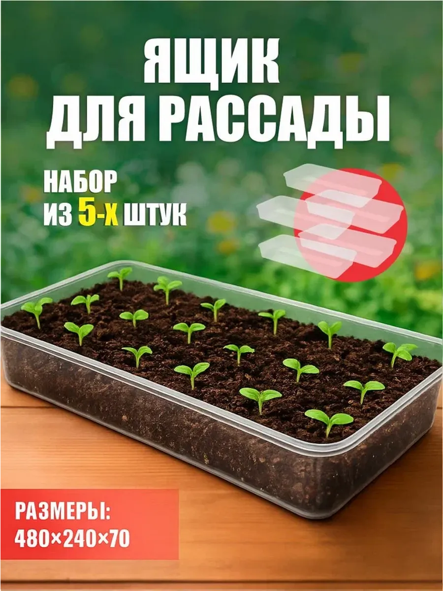 Ящик для рассады для подоконника пластиковый 5 шт
