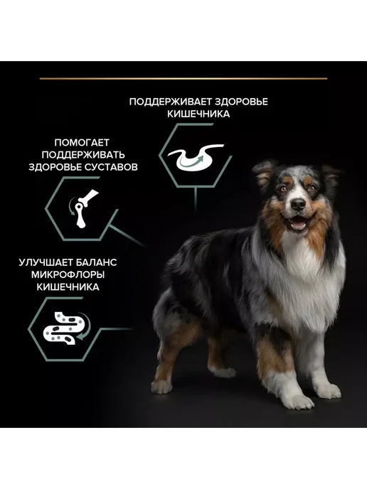 Сухой корм PRO PLAN для собак, средние, ягненок, 7 кг, фото 5