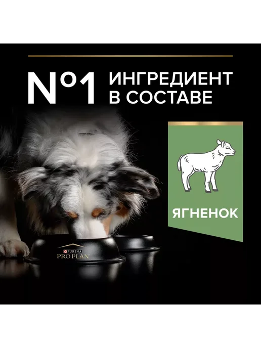 Сухой корм PRO PLAN для собак, средние, ягненок, 7 кг, фото 6