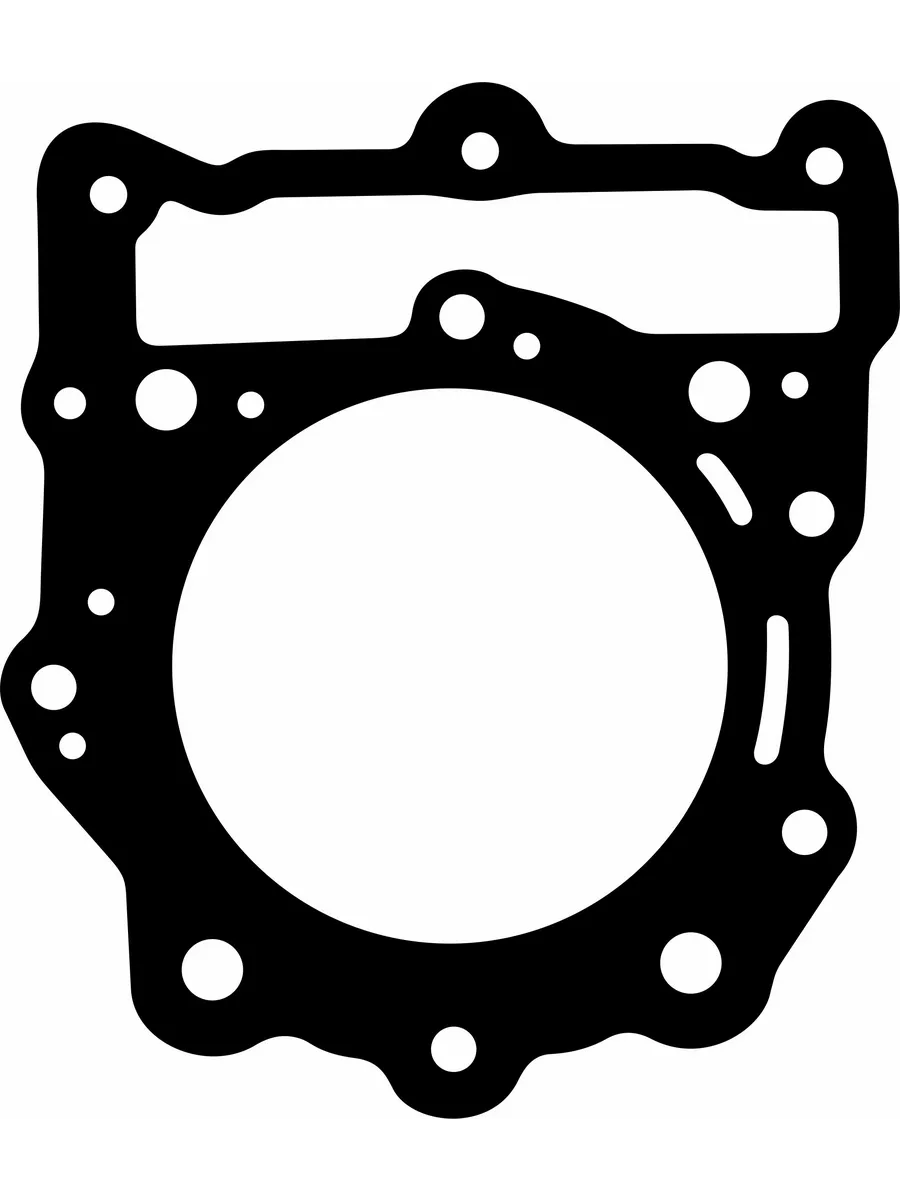 Прокладка ГБЦ для мотоциклов BMW F650GS (11127678889)