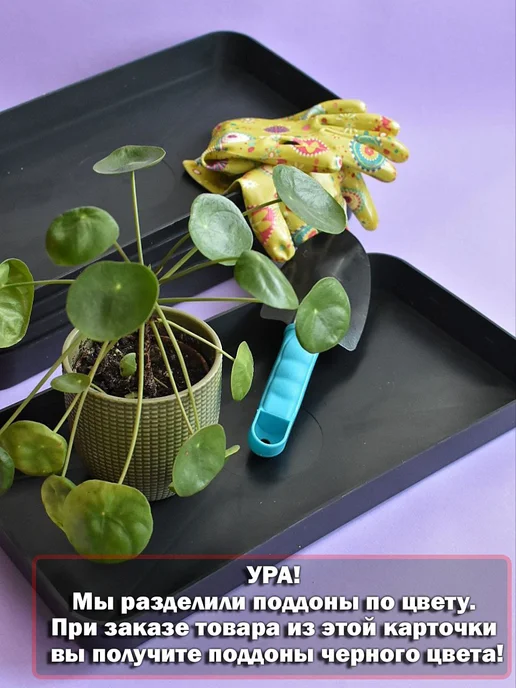 Мастерская Ельбрус Поддоны для рассады, цветов, растений, набор 5 шт, 5 шт, фото 3