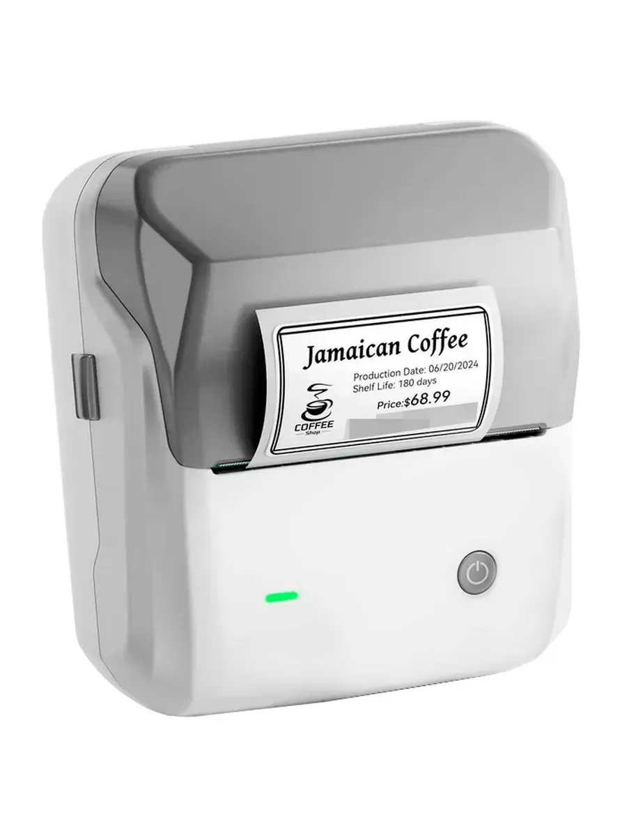 Термопринтер этикеток Label Printer B31 Gray