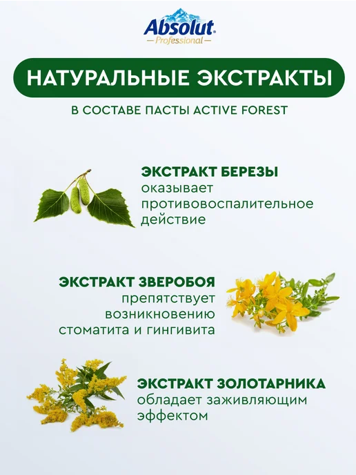 Absolut Набор для комплексного ухода за зубами и деснами, 3х110г, 110 г, фото 4