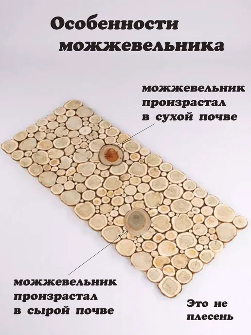 Панно из можжевельника для бани и сауны 30-60, вариант, фото 4