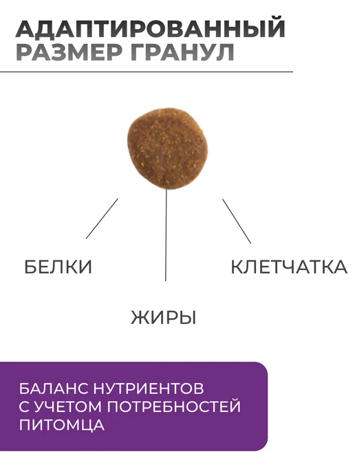 Сухой корм Gemon Гемон Dog для собак, взрослые, свинина, 3 кг, фото 2