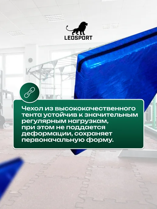 LeoSport Чехол на мат спортивный 200*100*10см.Тент,синий, 200x100x10 см, фото 4