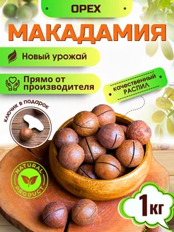 Макадамия орех в скорлупе 1кг 320237297 купить за 581 ₽ в интернет-магазине Wildberries
