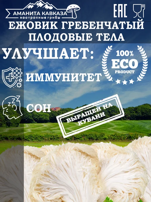 Ежовик Гребенчатый ТЕЛА 100 гр. Hericium Erinaceus, 100 г