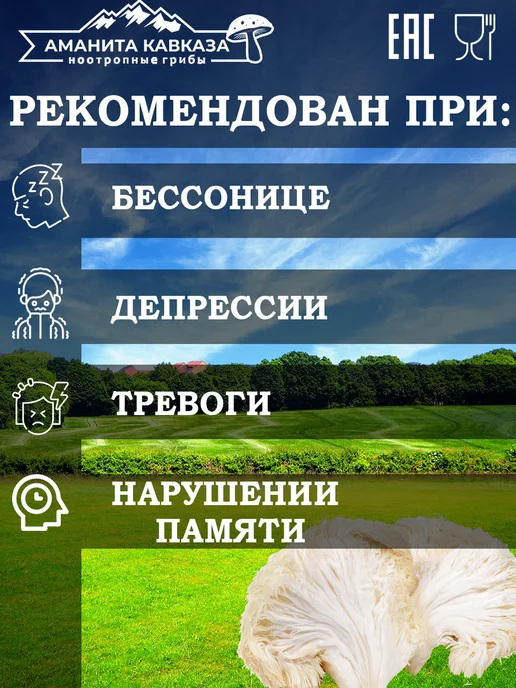 Ежовик Гребенчатый ТЕЛА 100 гр. Hericium Erinaceus, 100 г, фото 2