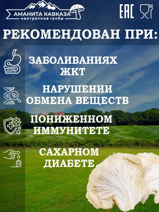 Ежовик Гребенчатый ТЕЛА 100 гр. Hericium Erinaceus, 100 г, фото 3