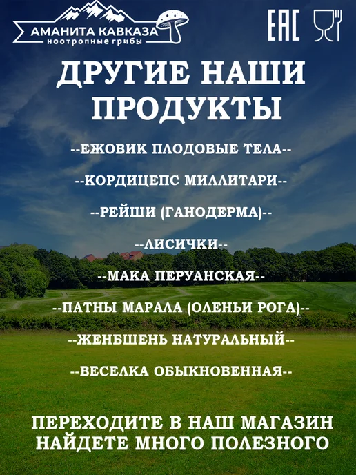 Ежовик Гребенчатый ТЕЛА 100 гр. Hericium Erinaceus, 100 г, фото 6