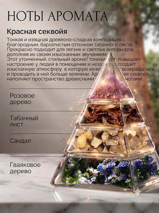 ALESENTE Саше Блэквуд, красный, фото 2