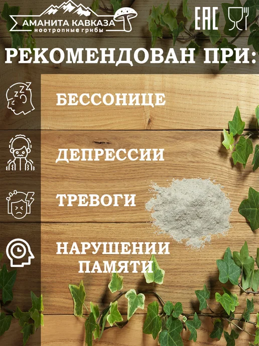 Мицелий Ежовика Гребенчатого 100 гр, 100 г, фото 2