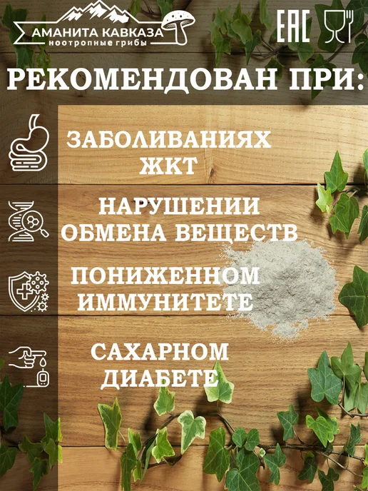 Мицелий Ежовика Гребенчатого 100 гр, 100 г, фото 3