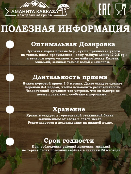 Мицелий Ежовика Гребенчатого 100 гр, 100 г, фото 5