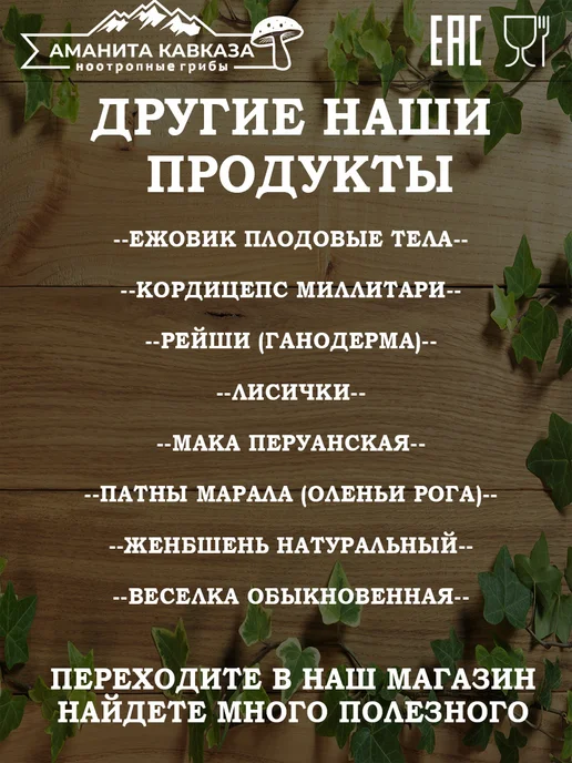 Мицелий Ежовика Гребенчатого 100 гр, 100 г, фото 6