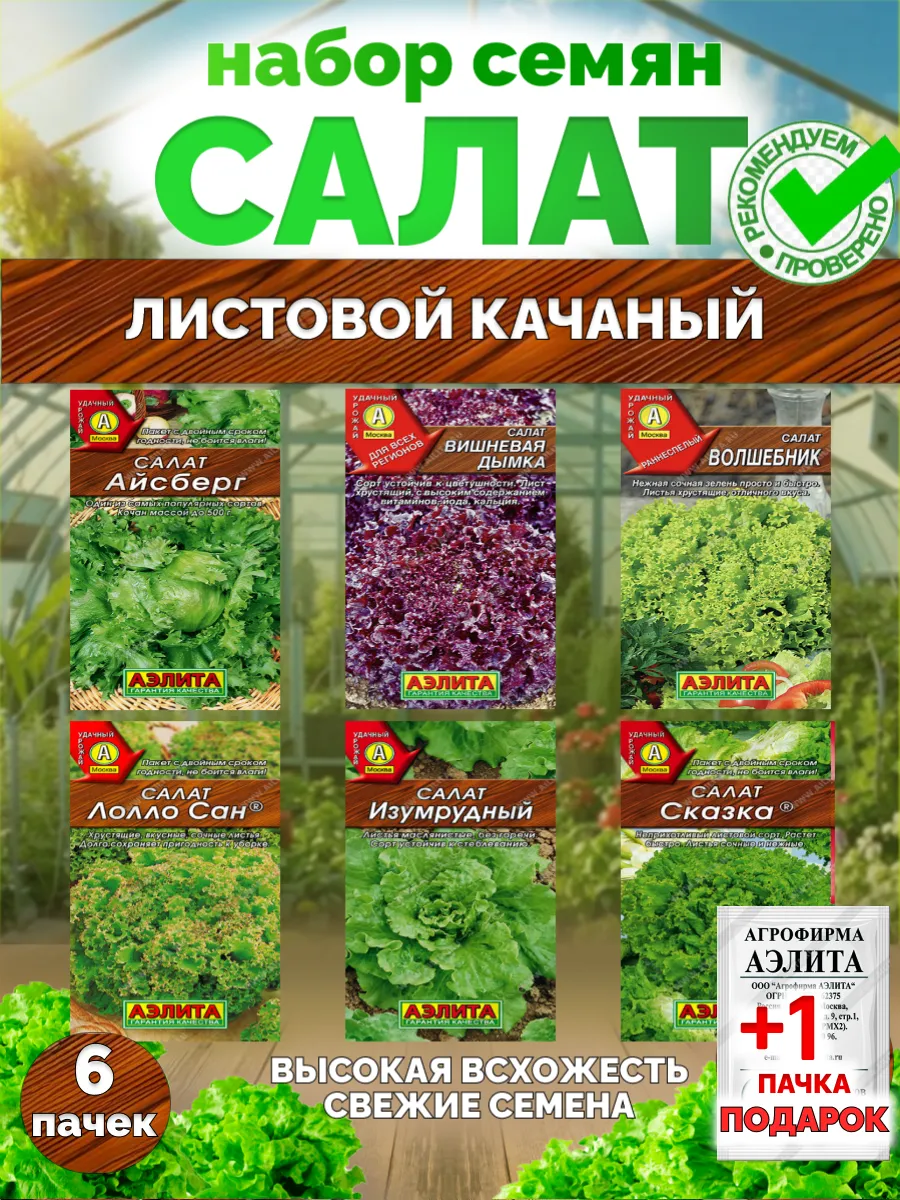 Семена салата Листового Кочанного