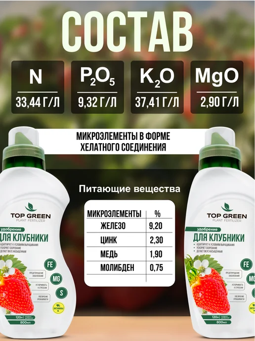 TOP GREEN Удобрение для растений сада и огорода, для клубники весна, зеленый, фото 2